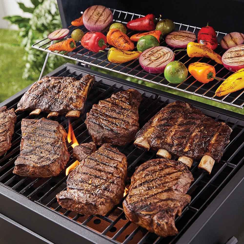 Multifunctional grill